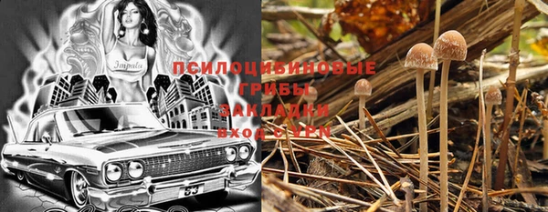 синтетический гашиш Алексин