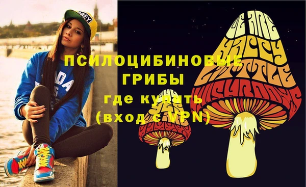МДПВ Алзамай
