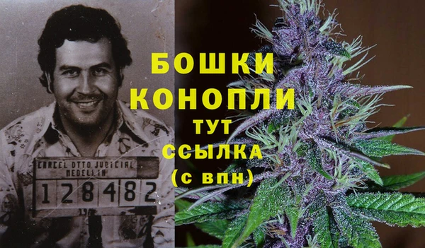 a pvp Абинск